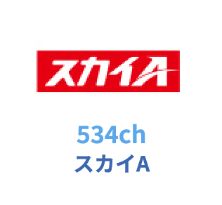 534ch スカイA