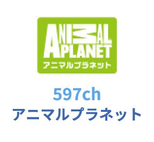 597ch アニマルプラネット