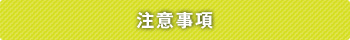 btn_webmail05