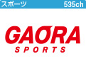 ＧＡＯＲＡ